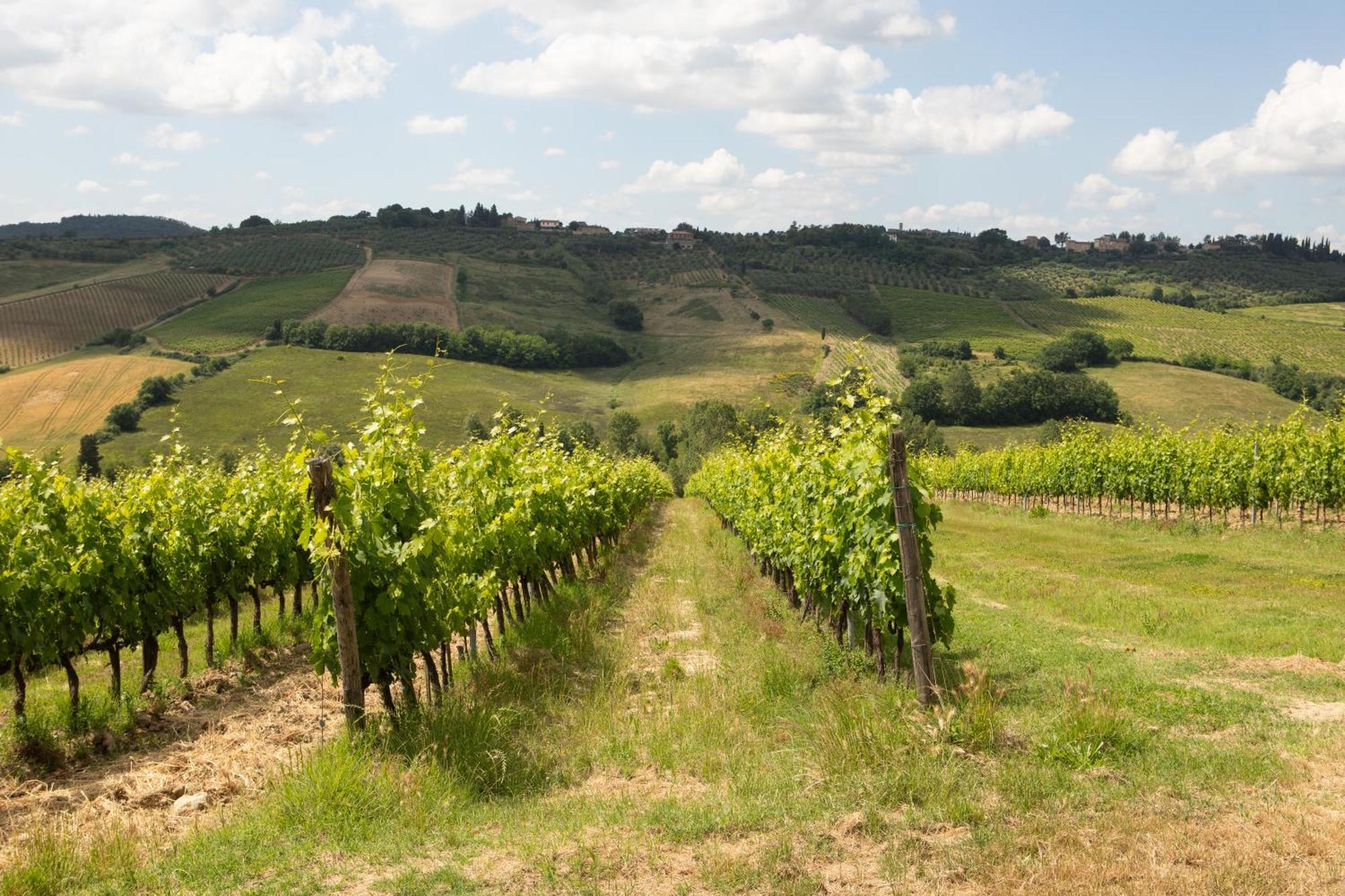 Ferienwohnung Vittoria Chianti Vacations Poggibonsi Exterior foto