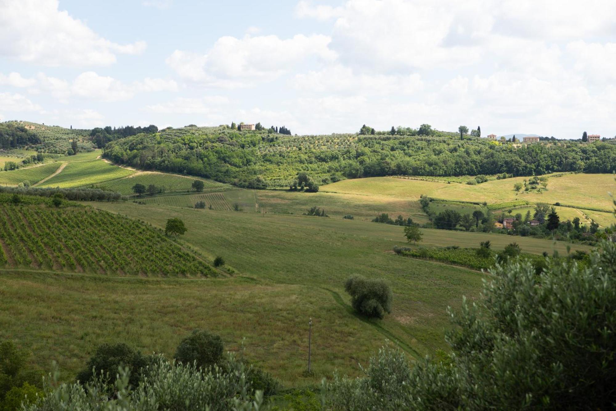 Ferienwohnung Vittoria Chianti Vacations Poggibonsi Exterior foto